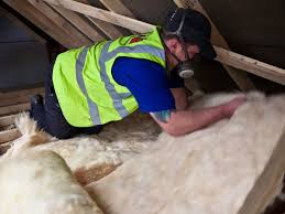 Best Insulation Removal  in Harrington, DE